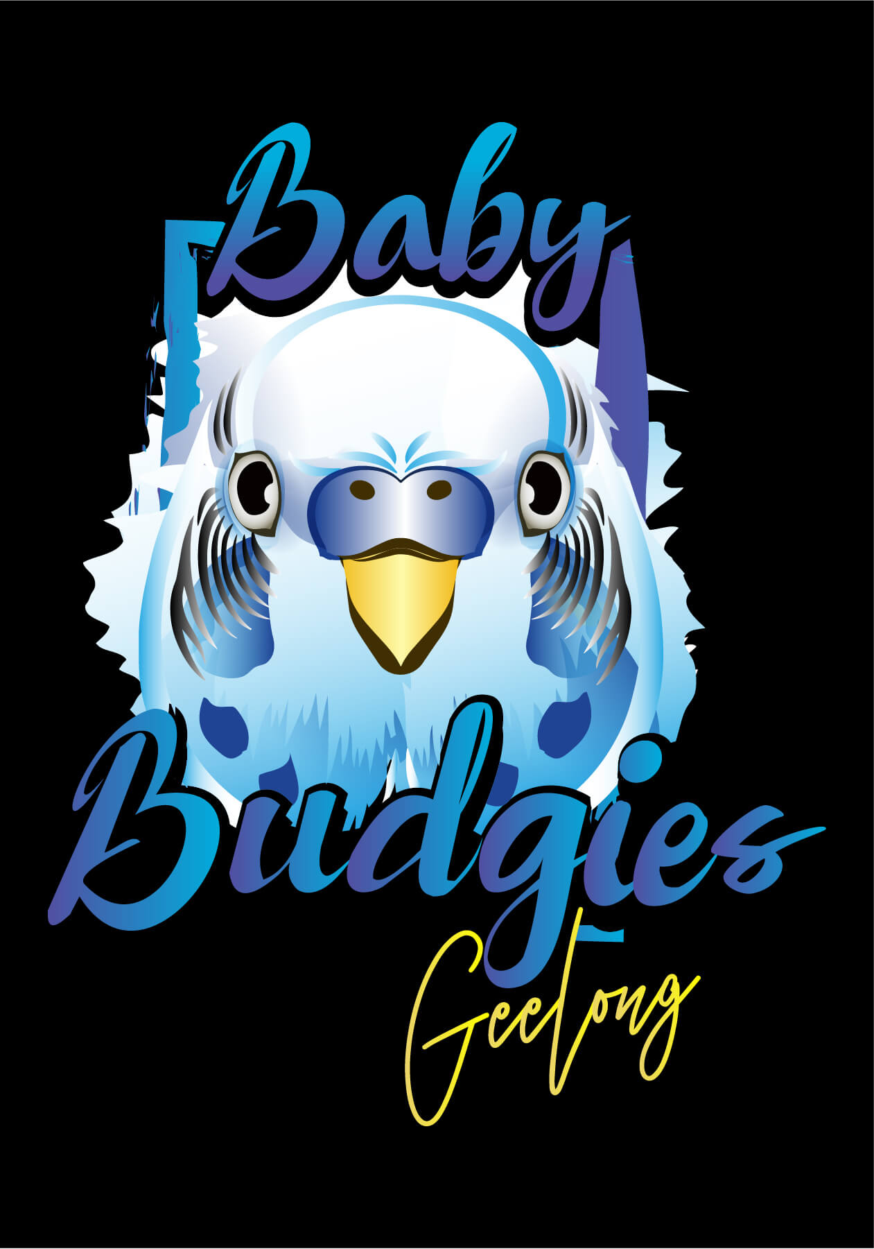 Baby Budgies Geelong, selling you young healthy budgerigars